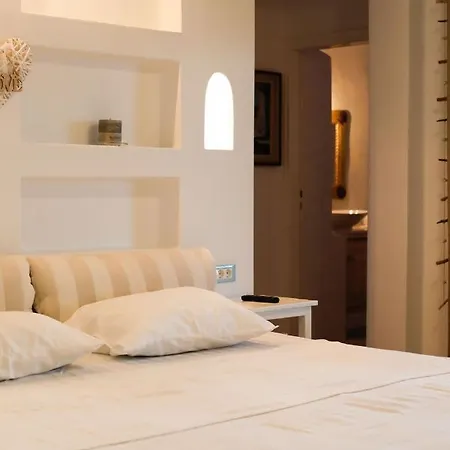 Paradise - Irina's Oasis Country house Ftelia (Mykonos)