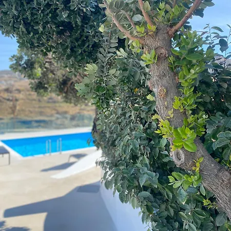 Irina Mykonos Ftelia (Mykonos)