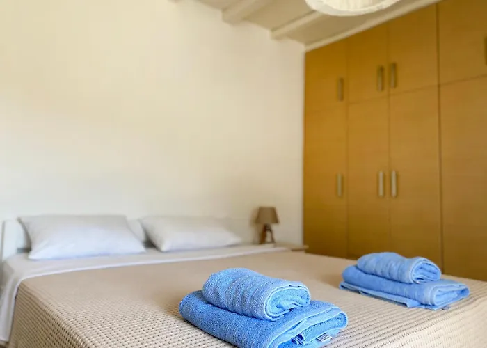 乡村民宿 Irina Mykonos