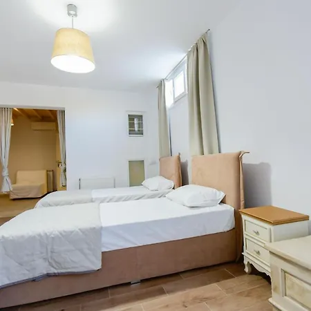 Irina Mykonos * 法蒂亚